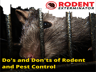 Do's and Don'ts of Rodent and Pest Control