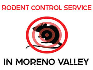 Rodent Control Service in Moreno Valley, CA