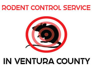 Rodent Control Service in Ventura County, CA