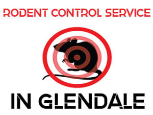 Rodent Control and Extermination in Glendale