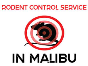 Rodent Control and Extermination in Malibu, CA