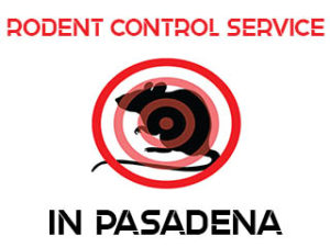 Rodent Control and Extermination in Pasadena