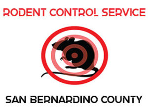 Rodent Control and Extermination in San Bernardino