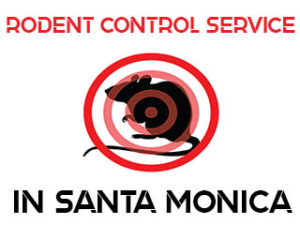 Rodent Control and Extermination in Santa Monica