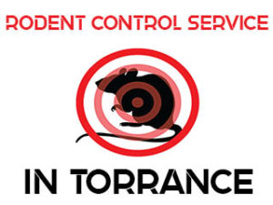 Rodent Control and Extermination in Torrance