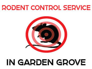 Rodent Control in Garden Grove