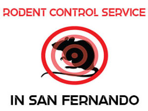 Rodent Control in San Fernando Valley