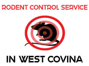 Rodent Control in West Covina