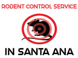 Rodent Extermination Services in Santa Ana, CA