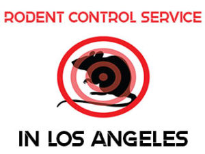 Rodent Extermination in Los Angeles