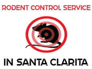 Rodent Extermination in Santa Clarita, CA