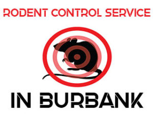 Rodent Exterminator in Burbank