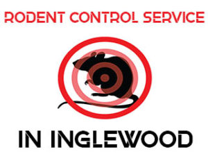 Rodent Exterminator in Inglewood