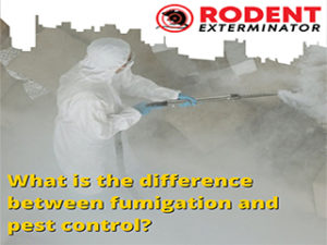 What is the difference between fumigation and pest control