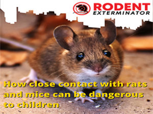 contact with rats and mice can be dangerous to children