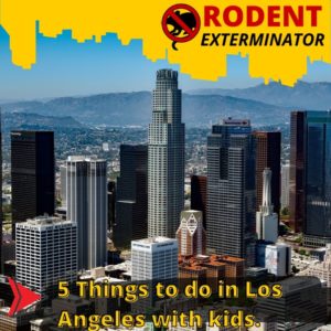 7 Things to do in Los Angeles with kids.