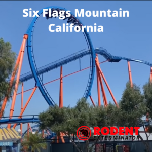 Six Flags Mountain California