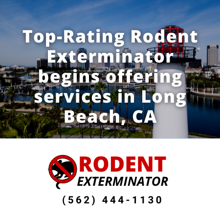 Top-Rating Rodent Exterminator begins offering services in Long Beach, CA