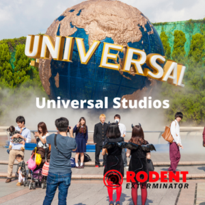 Universal Studios