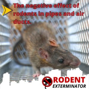 The negative effect of rodents in pipes and air ducts