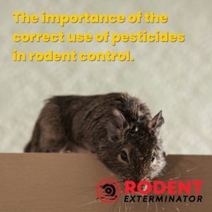 The importance of the correct use of pesticides in rodent control (1)