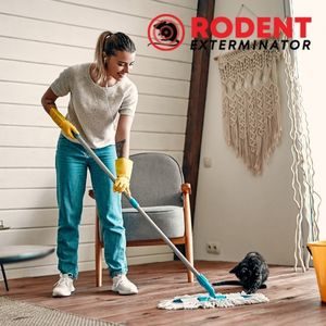 Should you clean the house after pest control or extermination (2)