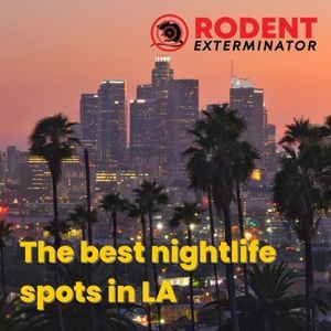 The best nightlife spots in LA (1)